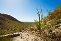 Piestewa / Squaw Peak Royalty Free Stock Photo
