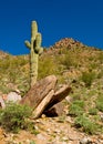 Piestewa / Squaw Peak