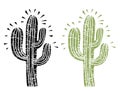 Cactus silhouette. Grunge cactus Royalty Free Stock Photo