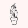 Cactus. Simple vector doodle style drawing. Linear illustration. Freehand drawing