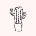 Cactus. Simple vector drawing. Line drawing. Hand drawn illustration