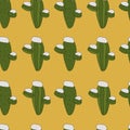 Cactus in snow winter seamless pattern Royalty Free Stock Photo