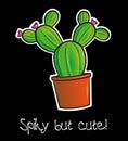 Cactus - spiky but cute!