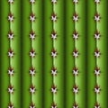 Cactus stem seamless pattern, Cereus alike plant texture