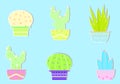 Cactus sticker set vector