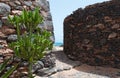 Cactus and stone walls in a marine landscape Royalty Free Stock Photo