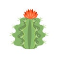 Cactus and succulent colorful cartoon vector illustration