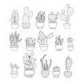 Cactus succulent flowers isolated set collection