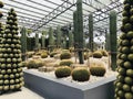 Cactus and Succulent garden of Nong Nooch Tropical Botanical Garden in Thailand.