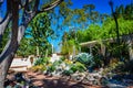 Cactus and Succulent Garden - Sherman Library - Corona del Mar,