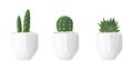 Cactus and succulent illustrations in a flat style isolated on a white background.