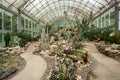 Cactus and succulent plant inside the greenhouse with glass roof.