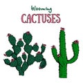 Cactus and succulent plants. Blooming Mexican desert plants.