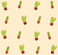 Cactus succulent plants pots background Royalty Free Stock Photo