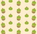 Cactus succulent plants pots background