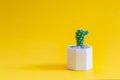 Cactus or succulent plants in pots, over yellow background Royalty Free Stock Photo