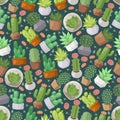 Cactus and succulent plants seamless pattern, vector illustration. Isolated icons of cute houseplants, decorative cacti Royalty Free Stock Photo