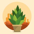 Cactus succulent pot on desertscape Royalty Free Stock Photo