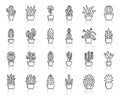 Cactus succulent simple black line icon vector set