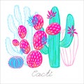 Cactus succulent wild flowers colorful watercolor sketch style print. Botanical houseplant bright collection on white background.