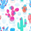 Cactus succulent wild seamless pattern flowers colorful watercolor bright collections.