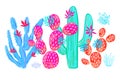 Cactus succulent wild set flowers colorful watercolor pink collections. Houseplant beautiful set on white background. Royalty Free Stock Photo