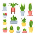 Cactus and succulents. Cute cartoon cacti in pots. Mexican exotic home plant with spines and flowers. Decorative garden Royalty Free Stock Photo