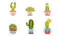 Cactus and Succulents in Flower Pots Set, Potted Houseplants Vector Illustration Royalty Free Stock Photo