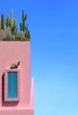 Cactus and succulents grow on the roof of an old pink house against a clear sky. Ancient Persian building with pink walls and a