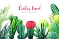 Cactus and succulents plants, horizontal background