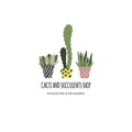 Cactus and succulents in pots. Hand drawn plants concept. Template for garden or flowers shop
