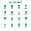 Cactus and succulents in pots thin line icons set. Modern vector illustration for shop of plants