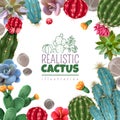 Cactus Succulents Realistic Frame Royalty Free Stock Photo