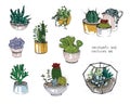 Cactus and succulents set. Collection plants in pots, florarium. Colorful illustration hand drawn in sketch style, isolated on