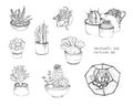 Cactus and succulents set. Collection plants in pots, florarium isolated on white background. Hand drawn illustration