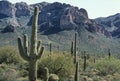 Cactus and the Superstition Mountains