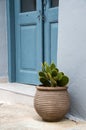 Cactus in a terracotta pot next to a blue door in Greece. Royalty Free Stock Photo