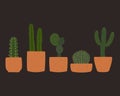Cactus and terracotta Pots Collection