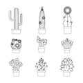 Cactus thin line icon set