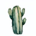 cactus with thorns