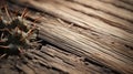 Prickly Textured Wood: Zeiss Batis 18mm F2.8 Australian Landscape Photography