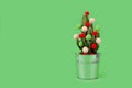 Cactus tree tropical christmas background new year flower pot balls green red holiday gift party funny Valentine day pail Royalty Free Stock Photo