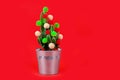 Cactus tree tropical christmas background new year flower pot balls green red holiday gift party funny Valentine day pail Royalty Free Stock Photo