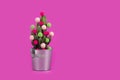 Cactus tree tropical christmas background new year flower pot balls green red holiday gift party funny Valentine day pail pink Royalty Free Stock Photo