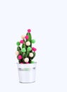 Cactus tree tropical christmas background new year flower pot balls green red holiday gift party funny Valentine day pail white Royalty Free Stock Photo