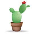 Cactus type1 on the plant pot over white background