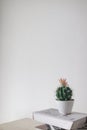 cactus vase and books Royalty Free Stock Photo