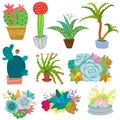 Cactus vector botanical cacti potted cute cactaceous succulent plant botany illustration floral set of cartoon exotic Royalty Free Stock Photo