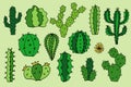 Cactus vector doodle cartoon Hand drawn illustrations