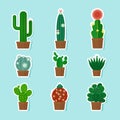 Cactus Vector Icons
